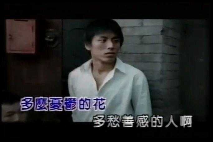 《丁香花国语版完整版在线试听下载-高清MV歌词同步》
