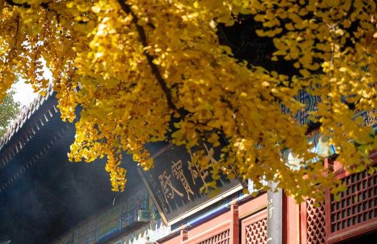 10月27日