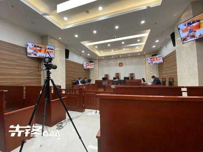 城管希蛮王直播:最新执法现场直击,网友热议不断