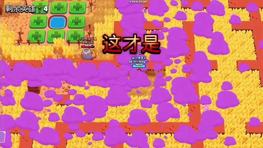荒野乱斗最新版为什么进不去