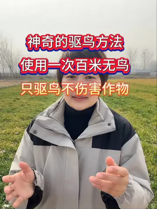 如何有效召唤鸟群？有效方法探索