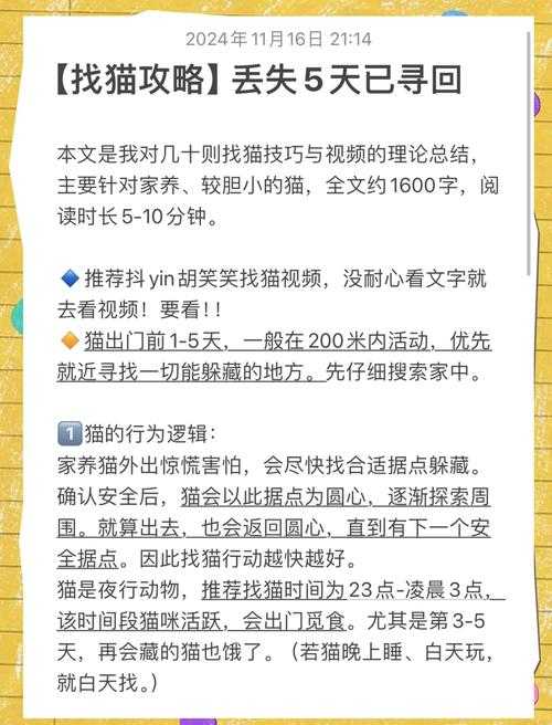 如何玩转抓猫游戏？游戏名字叫什么？
