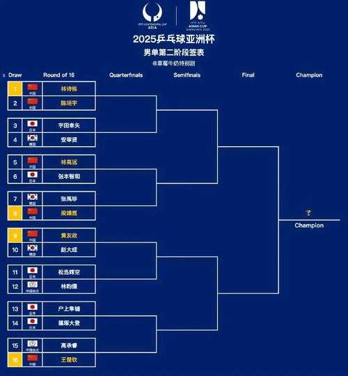 🏆亚洲杯历届冠军完整榜单：1956-2025年所有夺冠球队一览🏆