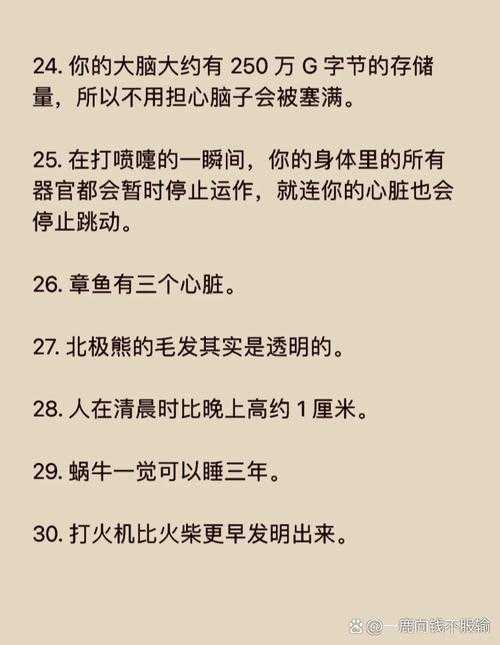 2025年 隐藏手机物语 新手村生存指南 这些冷知识能让你少