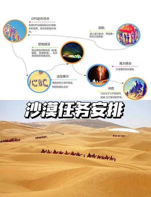 2025年 雨林沙漠 团队合作全攻略