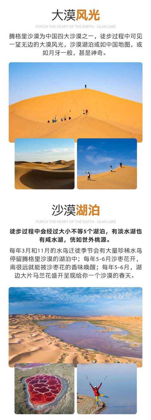 2025年 雨林沙漠 生存指南 穿越死亡沙海的五大核心法则