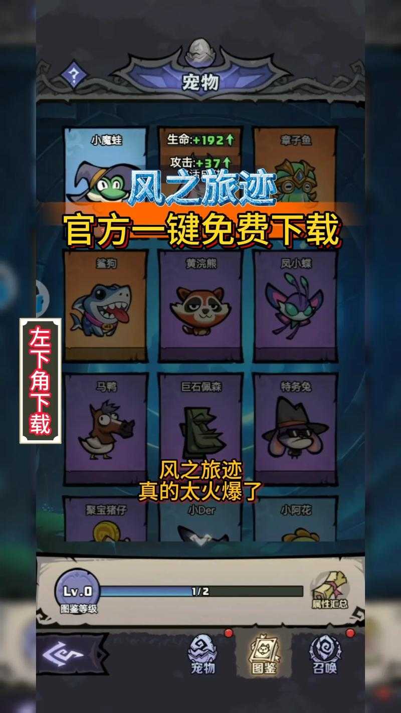 2025年 风之旅迹 坐骑升阶全攻略