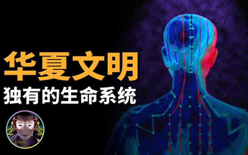 2025年 风之谷 生态文明解码 从元素力到生命传承的终极指