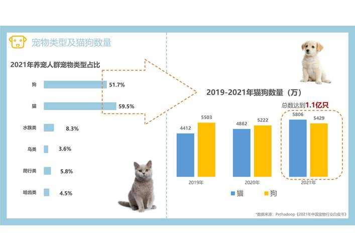 2025年 飘渺之旅 宠物系统深度体验报告