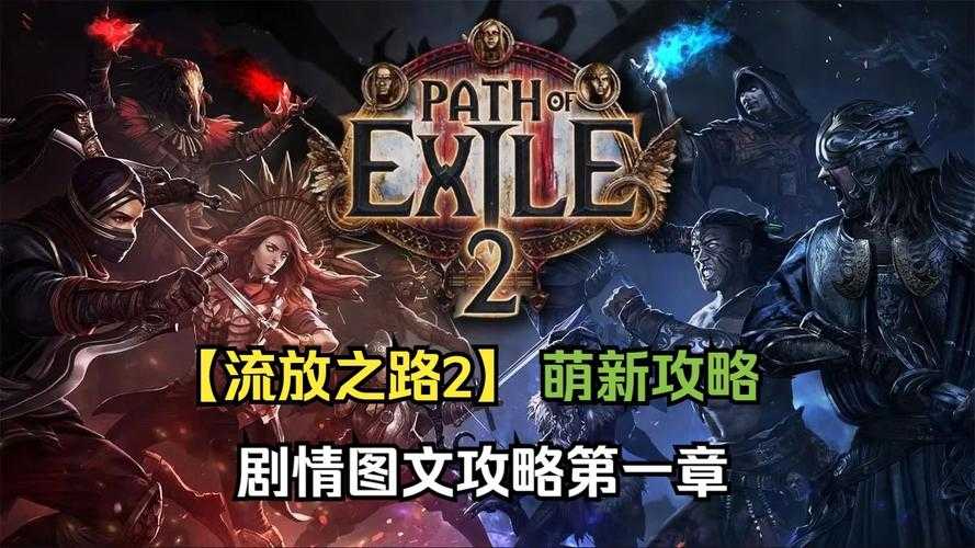 2025年 飞升之路 升级全攻略 从萌新到飞升者的生存法则