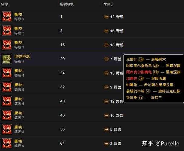 2025年 魔兽世界 猎人宠物全攻略 从练级到PVP的实战指