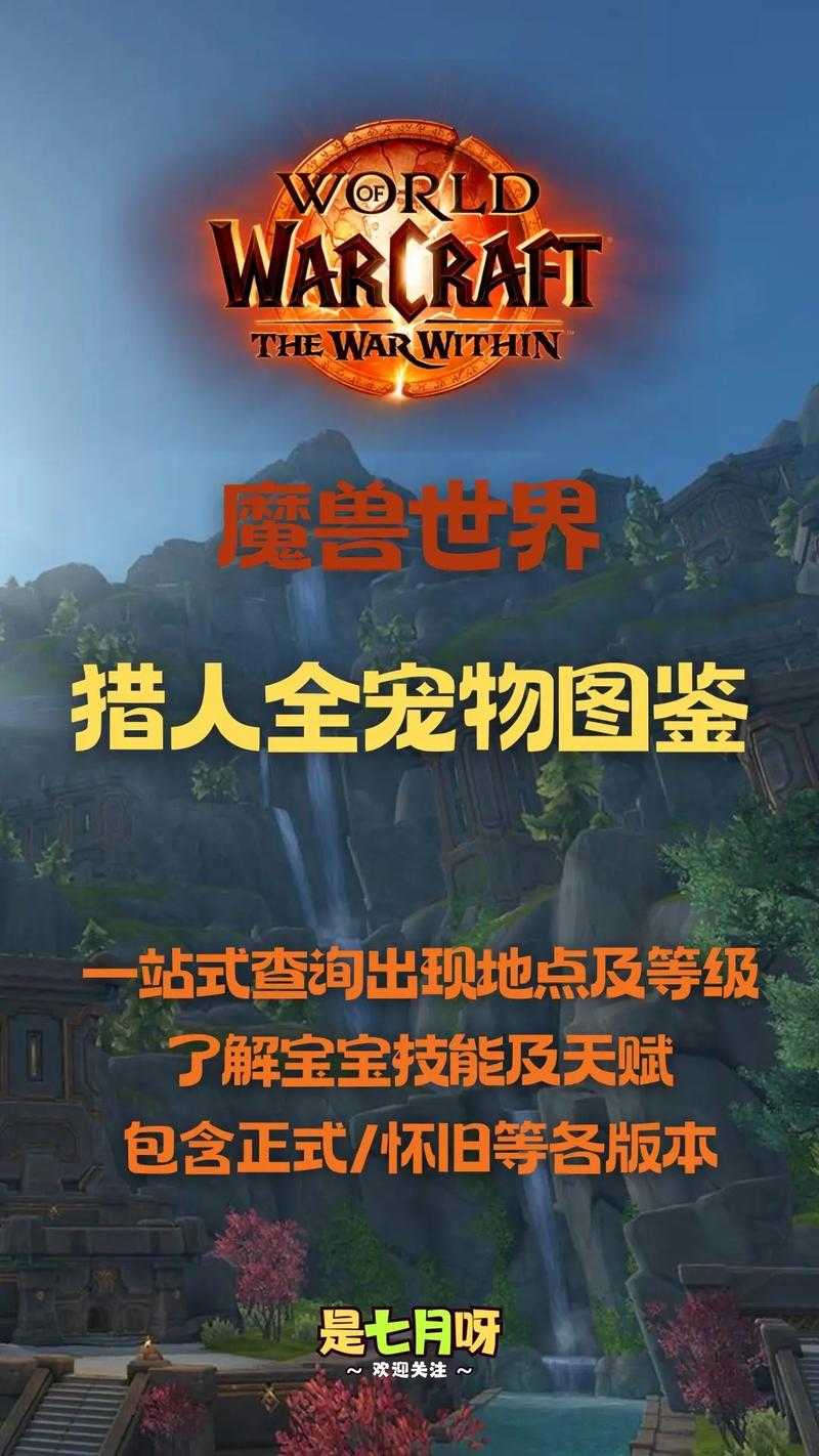 2025年 魔兽世界 猎人宠物终极指南 从PVE到PVP全解