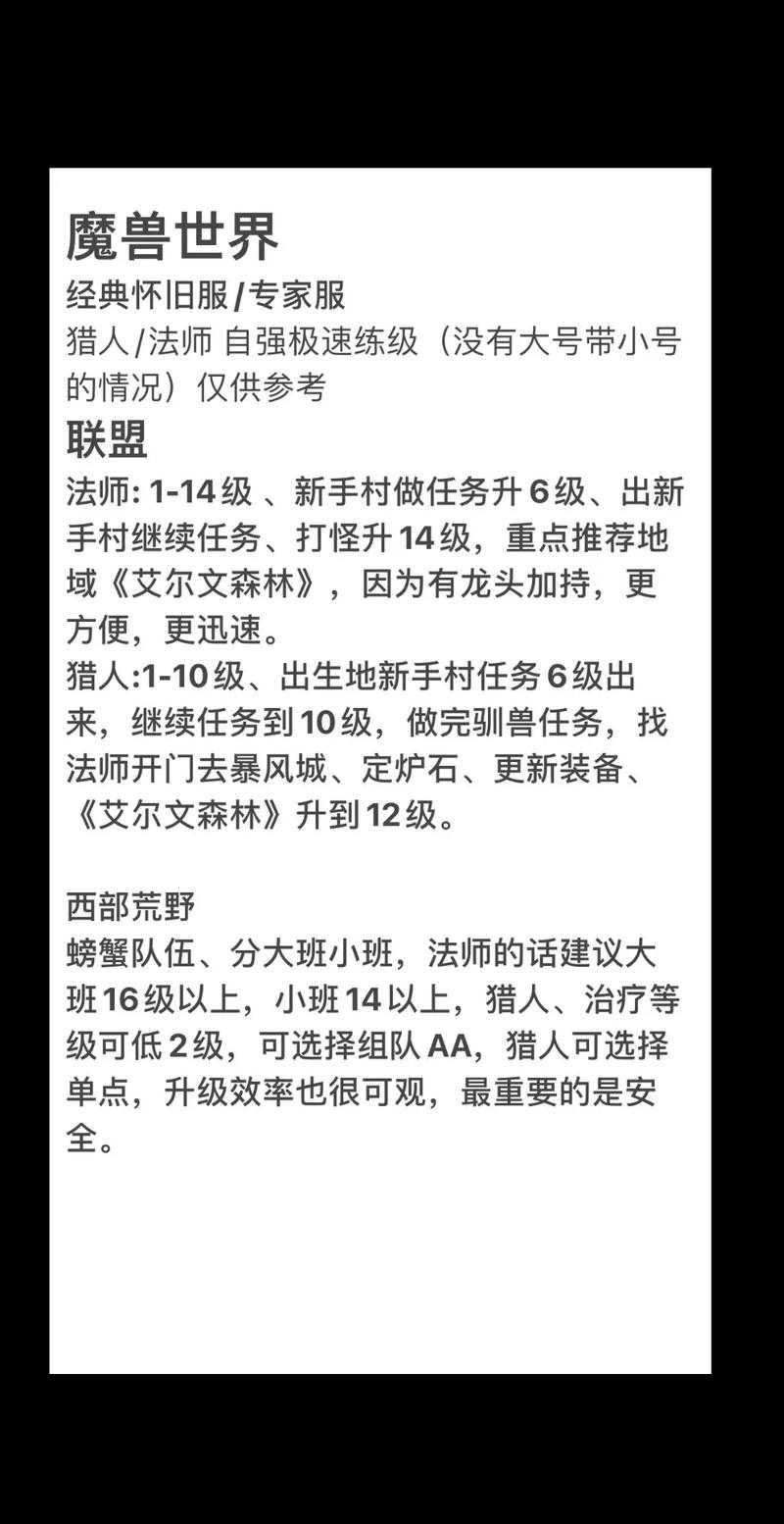 2025年 魔兽世界 猎人高效升级全指南