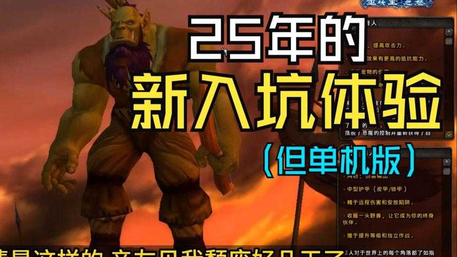 2025年 魔兽世界 玩家生存指南 110级大地的真实体验