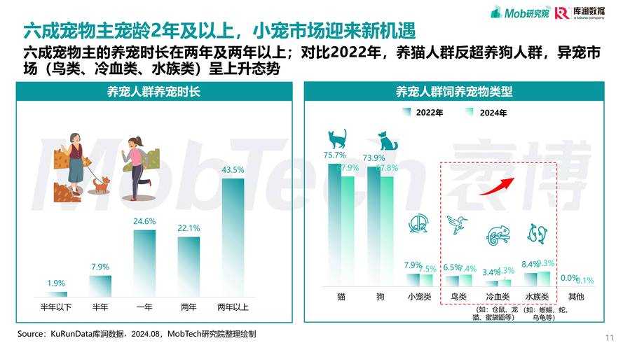 2025年 魔力风华 宠物系统深度体验报告