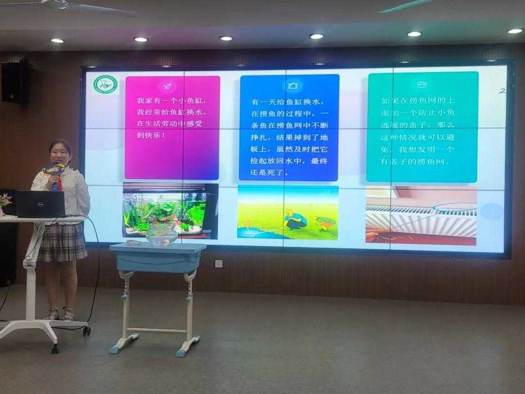 2025年 魔力风华 职业协作深度解析