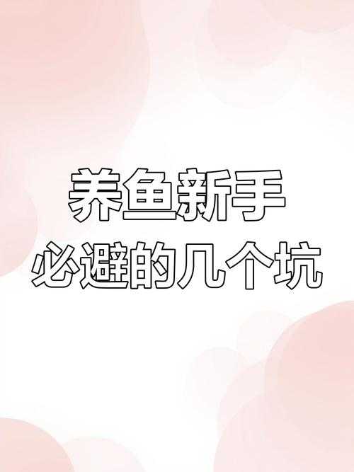 2025年 鱼儿 新手全攻略 手把手教你避开90 玩家的误区