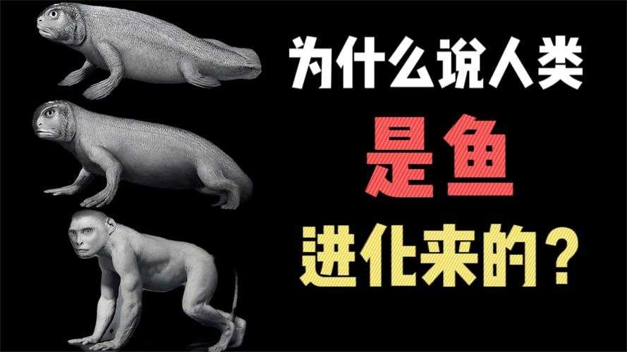 2025年 鱼进化 深度玩家指南 从新手到水生霸主的进化密码