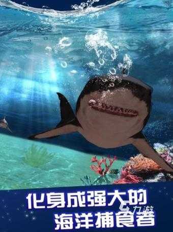 2025年 鲨鱼 游戏安装全攻略 PC与手机双平台对比